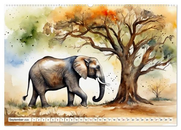 Produktbild: Zauberhafte Aquarelle von Afrikas Tierwelt (hochwertiger Premium Wandkalender 2026 DIN A2 quer), Kunstdruck in Hochglanz