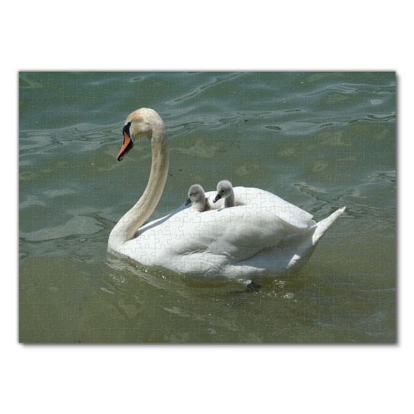 Produktbild: Lais Puzzle Schwan mit Babys 500 Teile