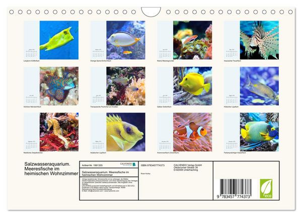 Produktbild: Salzwasseraquarium. Meeresfische im heimischen Wohnzimmer (Wandkalender 2026 DIN A4 quer), CALVENDO Monatskalender