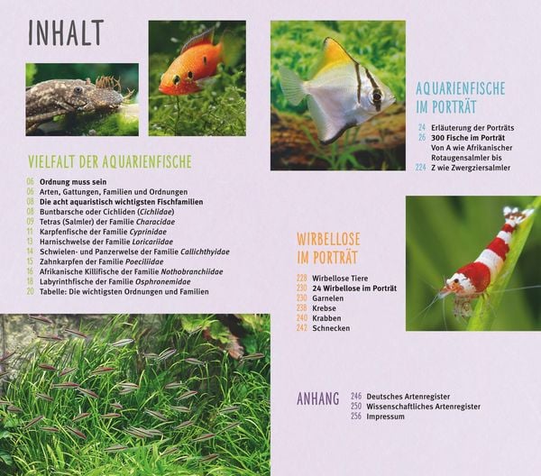 Produktbild: Aquarienfische von A bis Z