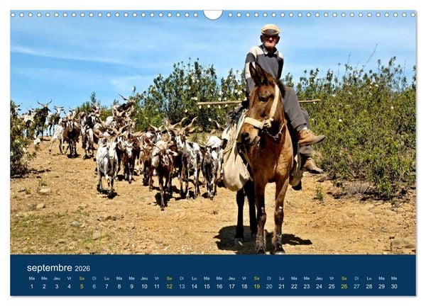 Produktbild: Un voyage &agrave; travers le Portugal (Calendrier mural 2026 DIN A3 vertical), CALVENDO calendrier mensuel