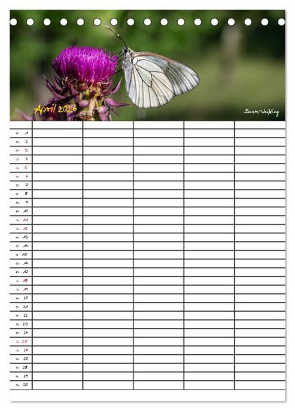 Produktbild: Schmetterlinge in Bayern (Tischkalender 2026 DIN A5 hoch), CALVENDO Monatskalender