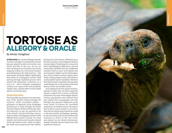 Produktbild: Lonely Planet Ecuador & the Galapagos Islands