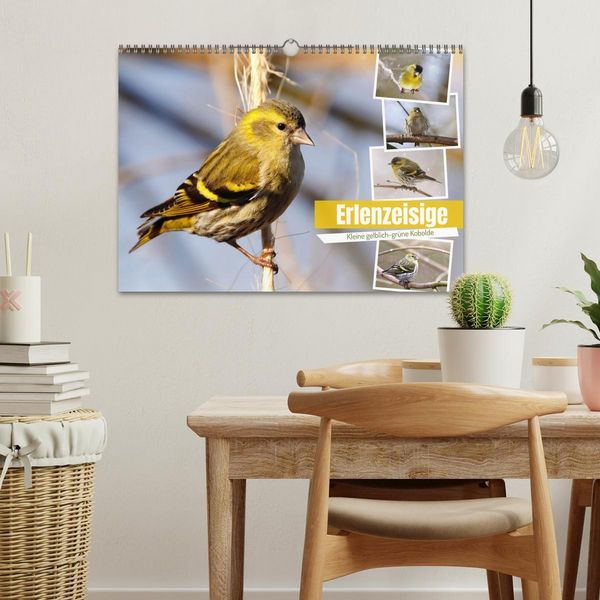 Produktbild: Erlenzeisige (Wandkalender 2026 DIN A3 quer), CALVENDO Monatskalender