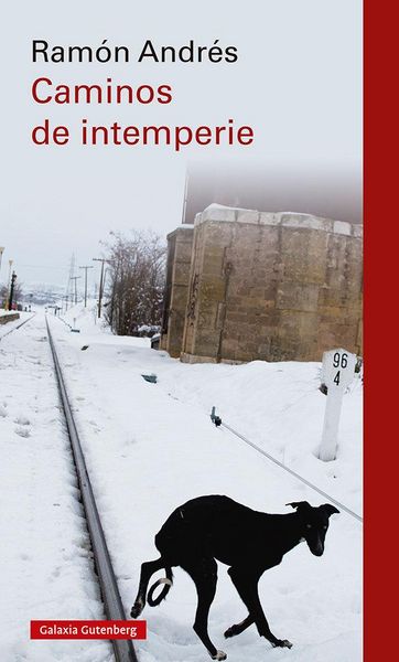 Produktbild: Caminos de intemperie