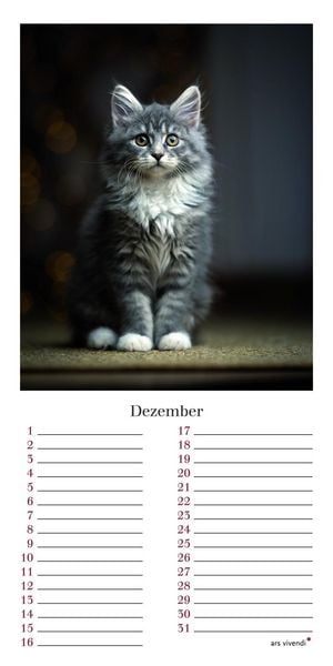 Produktbild: Geburtstagskalender Katzen