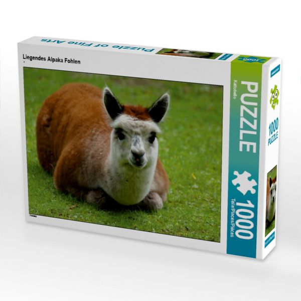 CALVENDO Puzzle Liegendes Alpaka Fohlen | 1000 Teile Lege-Größe 64x48cm Foto-Puzzle für glückliche Stunden