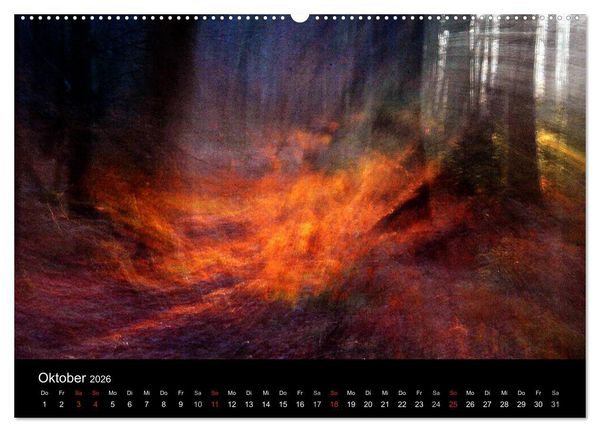 Produktbild: Magischer Wald (Wandkalender 2026 DIN A2 quer), CALVENDO Monatskalender
