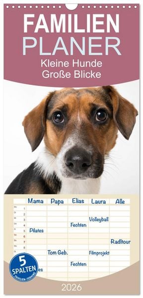 Produktbild: Familienplaner 2026 - Kleine Hunde - Gro&szlig;e Blicke mit 5 Spalten (Wandkalender, 21 x 45 cm) CALVENDO