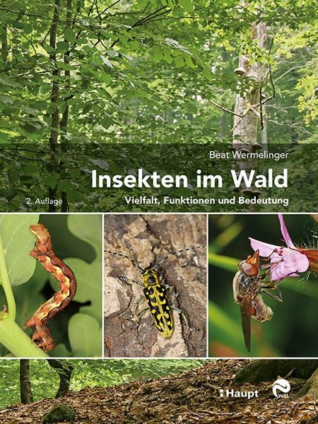 Insekten im Wald, Gebundene Ausgabe von Beat Wermelinger, Haupt Verlag, 978-3-258-08217-2