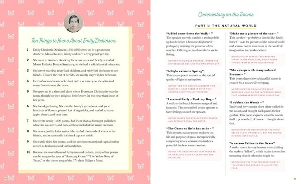 Produktbild: The Illustrated Emily Dickinson