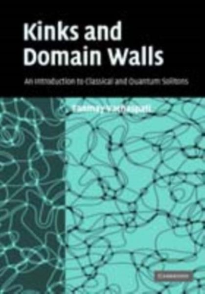 Produktbild: Kinks and Domain Walls