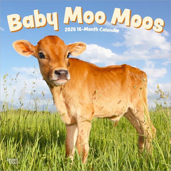 Produktbild: Baby Moo Moos 2026 12 X 24 Inch (Hanging) Monthly Square Wall Calendar Plastic-Free