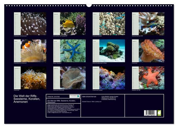 Produktbild: Die Welt der Riffe. Seesterne, Korallen, Anemonen (Wandkalender 2026 DIN A2 quer), CALVENDO Monatskalender