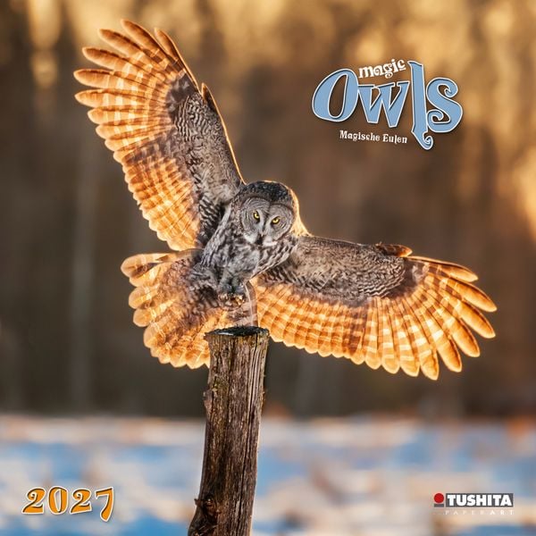 Produktbild: Magic Owls 2027