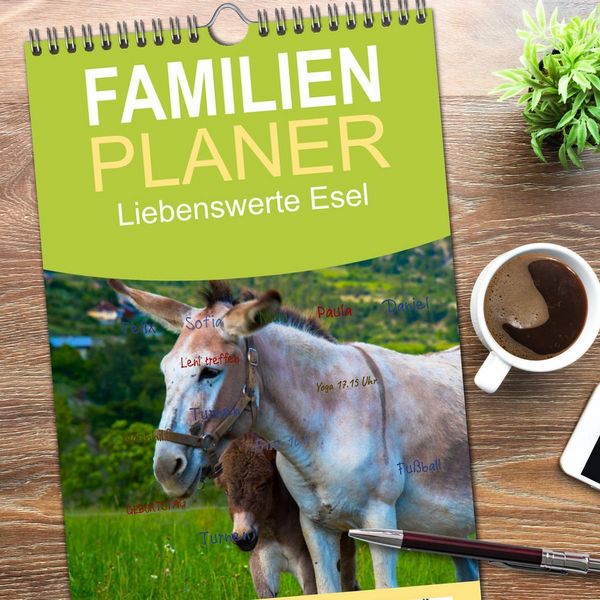 Produktbild: Familienplaner 2026 - Liebenswerte Esel mit 5 Spalten (Wandkalender, 21 x 45 cm) CALVENDO