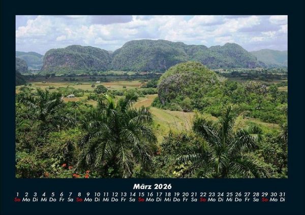 Produktbild: B&auml;ume 2026 Fotokalender DIN A4