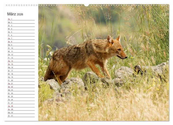 Produktbild: Faszinierendes Bulgarien (Wandkalender 2026 DIN A2 quer), CALVENDO Monatskalender