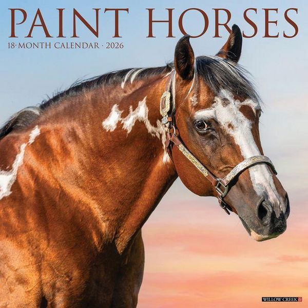 Produktbild: Paint Horses 2026 Wall Calendar
