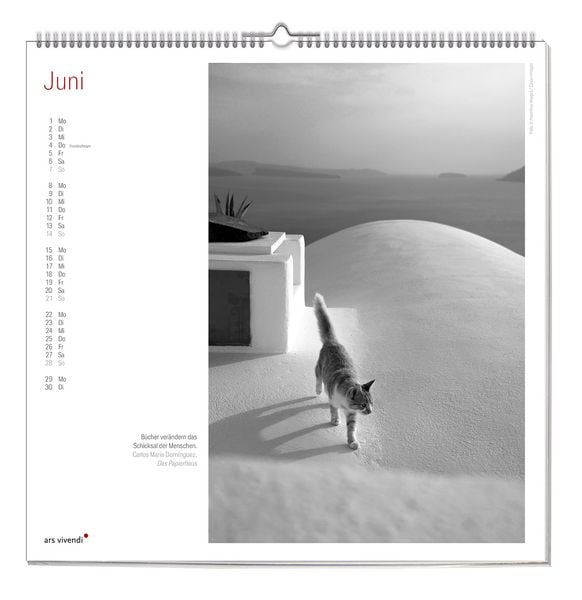Produktbild: Der grosse literarische Katzen Kalender 2027