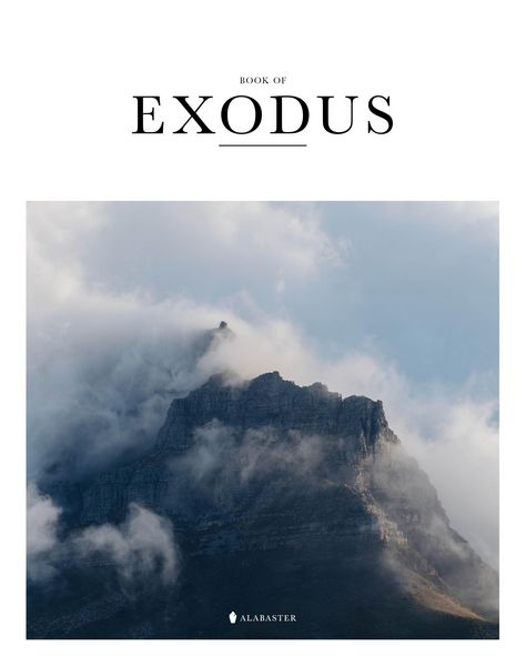 Produktbild: Book of Exodus (Sc, Nlt)