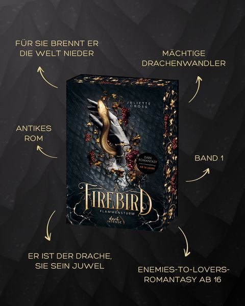 Produktbild: Flammensturm (Band 1) - Firebird