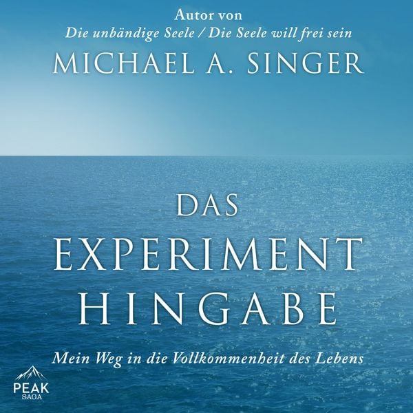 Produktbild: Das Experiment Hingabe