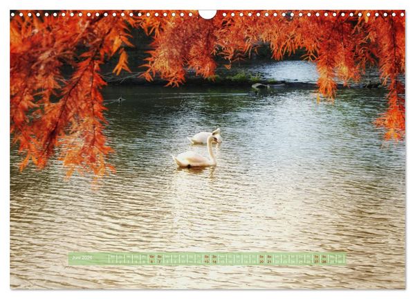 Produktbild: Zauber des Lichts (Wandkalender 2026 DIN A3 quer), CALVENDO Monatskalender