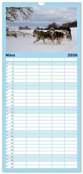 Produktbild: Familienplaner 2026 - Huskies! mit 5 Spalten (Wandkalender, 21 x 45 cm) CALVENDO