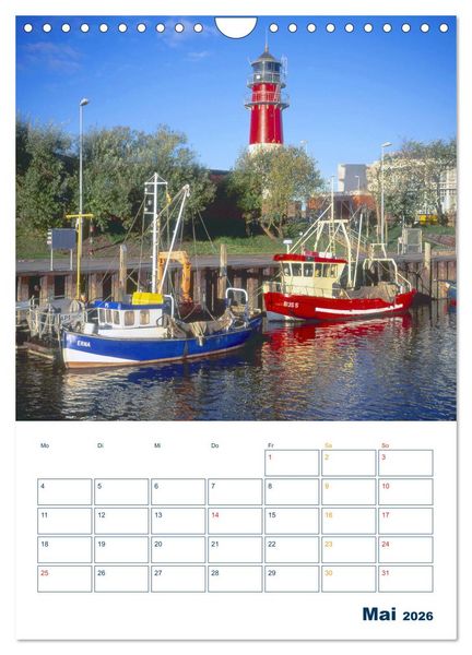 Produktbild: Vielseitiges B&uuml;sum (Wandkalender 2026 DIN A4 hoch), CALVENDO Monatskalender