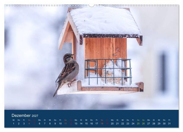 Produktbild: Spatzen-Kalender (Wandkalender 2027 DIN A2 quer), CALVENDO Monatskalender