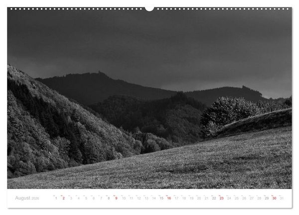 Produktbild: Mystischer Schwarzwald (Wandkalender 2026 DIN A2 quer), CALVENDO Monatskalender