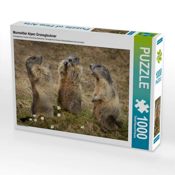 Produktbild: CALVENDO Puzzle Murmeltierversammlung | 1000 Teile Lege-Gr&ouml;&szlig;e 64x48cm Foto-Puzzle f&uuml;r gl&uuml;ckliche Stunden