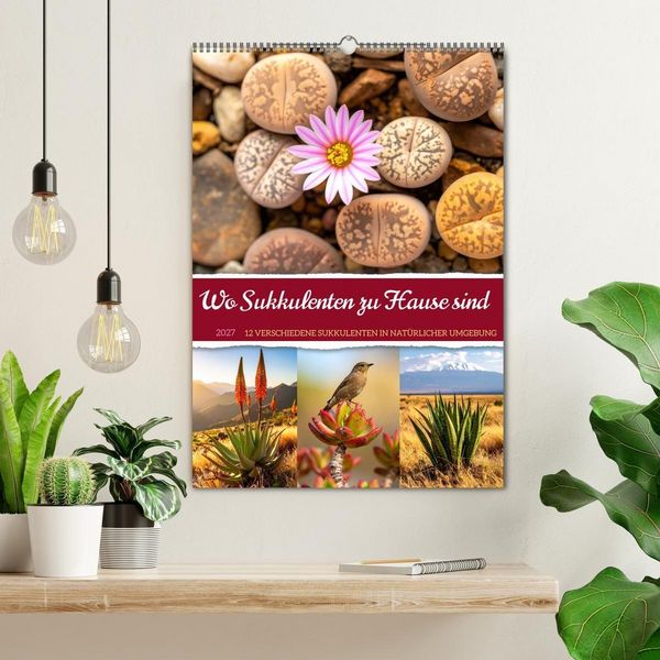 Produktbild: Wo Sukkulenten zu Hause sind (Wandkalender 2027 DIN A2 hoch), CALVENDO Monatskalender