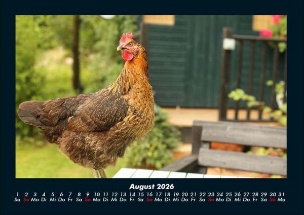 Produktbild: Tiere in der Wildnis 2026 Fotokalender DIN A4