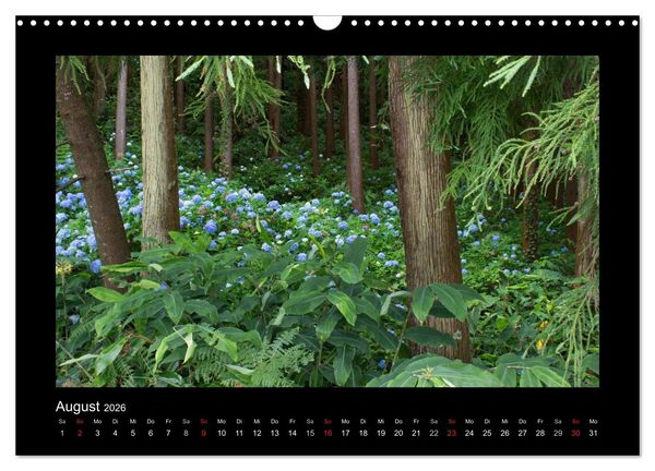 Produktbild: Azoren - S&atilde;o Miguel (Wandkalender 2026 DIN A3 quer), CALVENDO Monatskalender