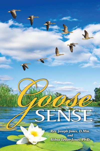 Produktbild: Goose Sense