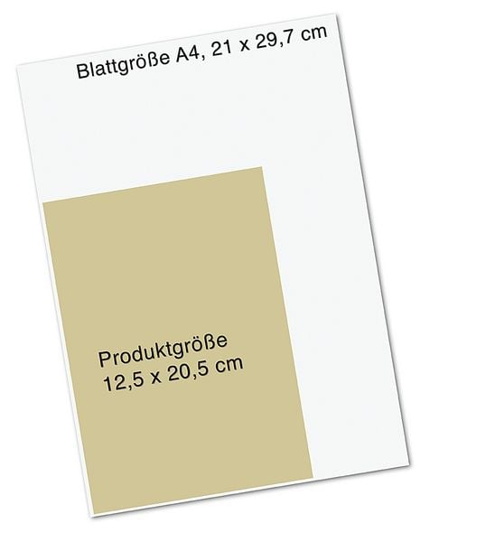 Produktbild: Der Drachentempel