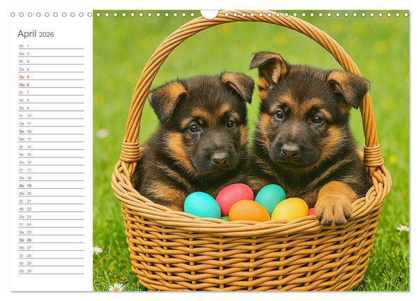 Produktbild: Sch&auml;ferhundliebe - Deine t&auml;gliche Dosis Welpenfreude &ndash; ganz ohne Gassi. (Wandkalender 2026 DIN A3 quer), CALVENDO Monatskalender