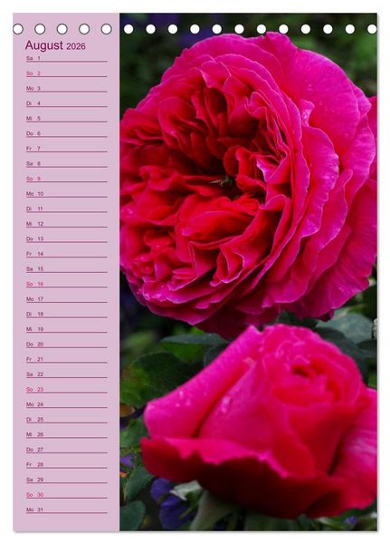 Produktbild: Rosen Symphonie (Tischkalender 2026 DIN A5 hoch), CALVENDO Monatskalender