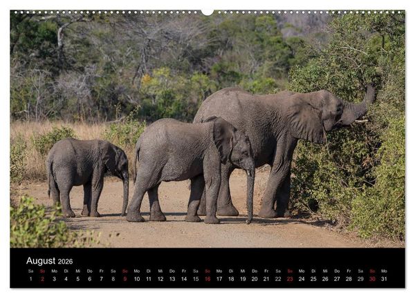 Produktbild: Wundersch&ouml;nes S&uuml;dafrika (Wandkalender 2026 DIN A2 quer), CALVENDO Monatskalender