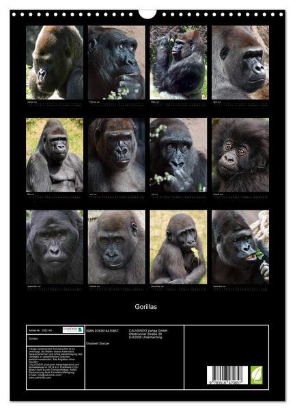 Produktbild: Gorillas (Wandkalender 2026 DIN A3 hoch), CALVENDO Monatskalender
