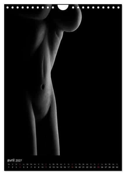 Produktbild: F&eacute;minit&eacute; (Calendrier mural 2027 DIN A4 horizontal), CALVENDO calendrier mensuel