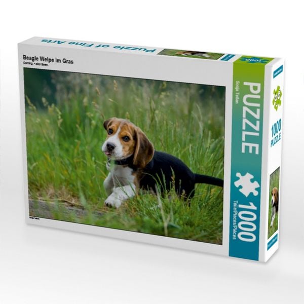 CALVENDO Puzzle Beagle Welpe im Gras | 1000 Teile Lege-Größe 64x48cm Foto-Puzzle für glückliche Stunden
