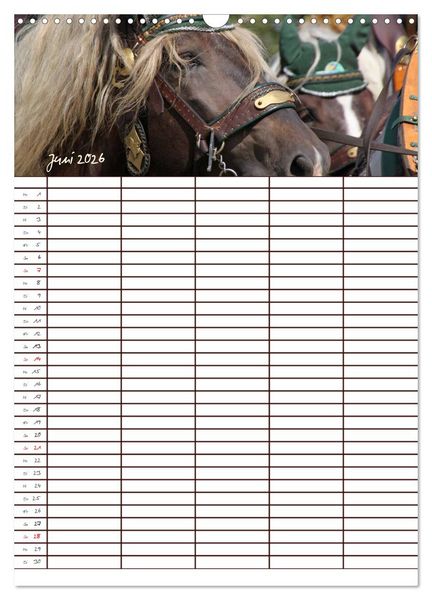 Produktbild: Der Kaltblut-Familienplaner (Wandkalender 2026 DIN A3 hoch), CALVENDO Monatskalender