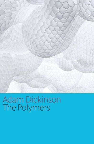 Produktbild: The Polymers