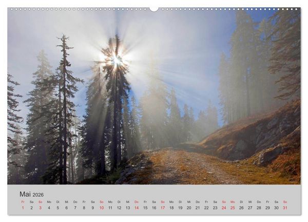 Produktbild: Komm, ich zeige dir den Wald (Wandkalender 2026 DIN A2 quer), CALVENDO Monatskalender