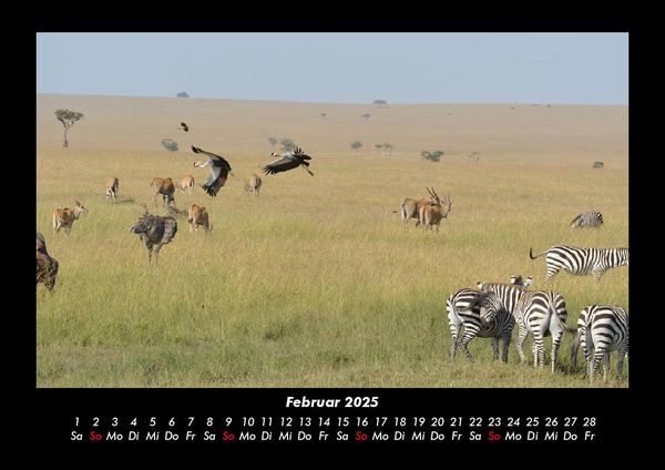 Produktbild: Der Tierkalender 2025 Fotokalender DIN A3