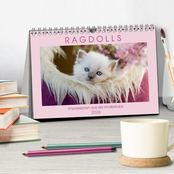 Produktbild: RAGDOLLS Impressionen aus der Kinderstube (Tischkalender 2026 DIN A5 quer), CALVENDO Monatskalender