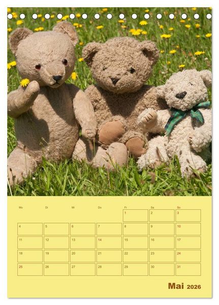 Produktbild: B&auml;renstarker Planer f&uuml;r das Jahr &ndash; Teddys (Tischkalender 2026 DIN A5 hoch), CALVENDO Monatskalender